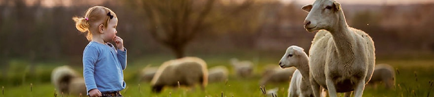 ZOO HOTEL外观展示，结合自然与动物元素的建筑设计